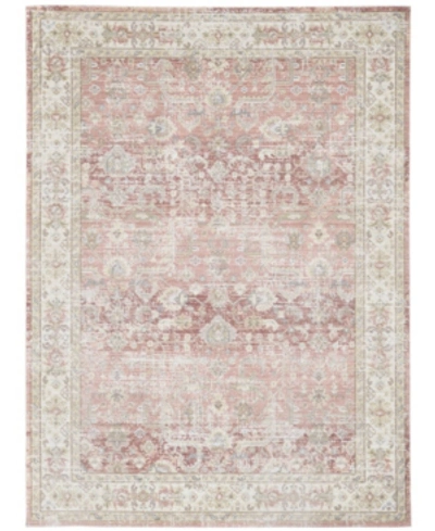 Amer Rugs Century Cen-8 Salmon 3'11" X 5'11" Area Rug