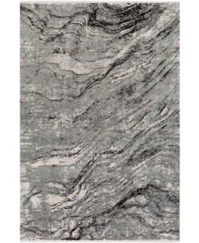 Surya Solar Sor-2309 Charcoal 3' X 8' Runner Area Rug