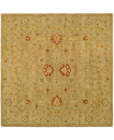Safavieh Antiquity At822 Brown 6' X 6' Square Area Rug