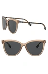 Burberry 56mm Square Sunglasses In Transparent Brown/ Grey