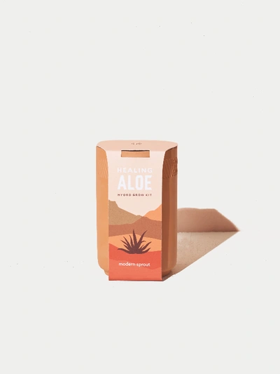 Modern Sprout Healing Aloe Terracotta Grow Kit In Red