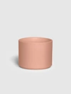Leon & George - Verified Partner Medium Zanzibar Gem With Mid-century Ceramic Pot In Pink