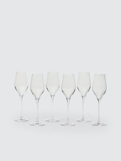 Aida Passion Connoisseur Champagne Flute, Set Of 6 In White