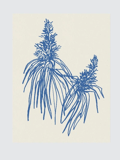 Wilde House Paper - Verified Partner Botanical Art Print In Cobalt In Blue