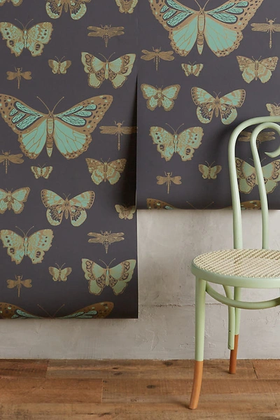 Anthropologie Lepidoptera Wallpaper In Grey