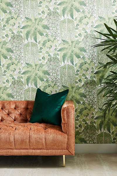 Anthropologie Fern Wallpaper In Green