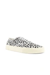 Saint Laurent White & Black Leopard Venice Sneakers
