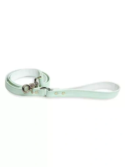 Finn And Me Leather Dog Leash In Mint Matcha