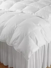 Downtown Company Calla Lily Year Round Cotton & Goose Down Filled Comforter In White