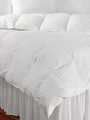 Downtown Company Alpine Loft Year Round Cotton Micro Denier Fiber Comforter In White