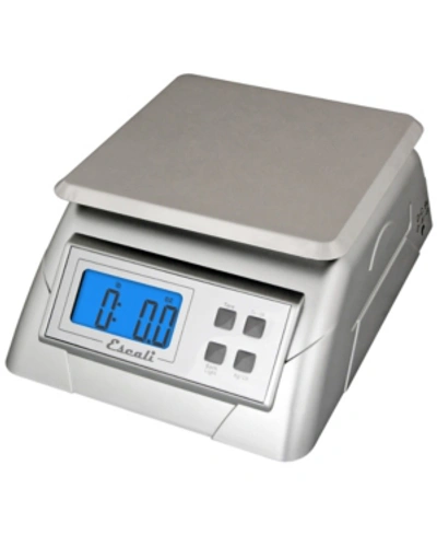 Escali Corp Alimento Digital Scale, 13lb