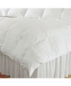 DOWNTOWN COMPANY LUXURY DOWN COMFORTER, KING