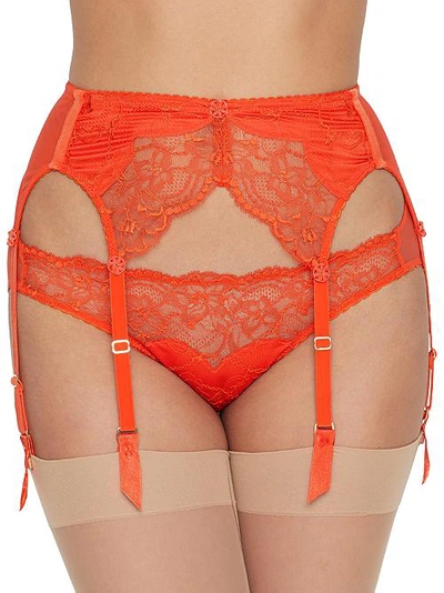 Dita Von Teese Tryst Garter Belt In Poppy