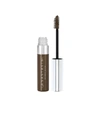 ANASTASIA BEVERLY HILLS TINTED BROW GEL,15841396