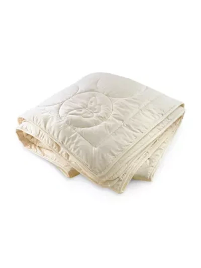 Downtown Company Year Round Silk Comforter In Ivory