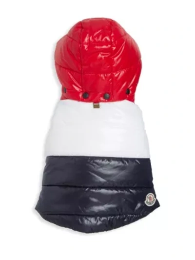 Moncler Hooded Puffer Dog Vest In Red