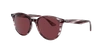 Ray Ban Rb4306 Sunglasses Striped Bordeaux Havana Frame Violet Lenses 54-19 In Violet
