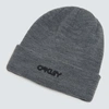 Oakley B1b Logo Beanie In Gray
