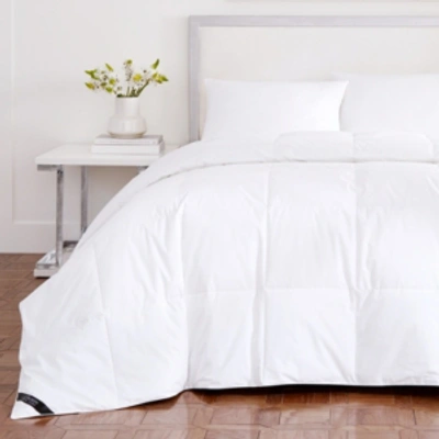 J Queen New York Royalty Allergen Barrier Down Alternative 233 Thread Count Cotton Comforter, Full/queen In White