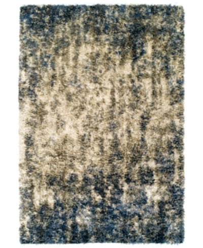 D Style Jackson Shag Drizzle 5'3" X 7'7" Area Rug In Blue