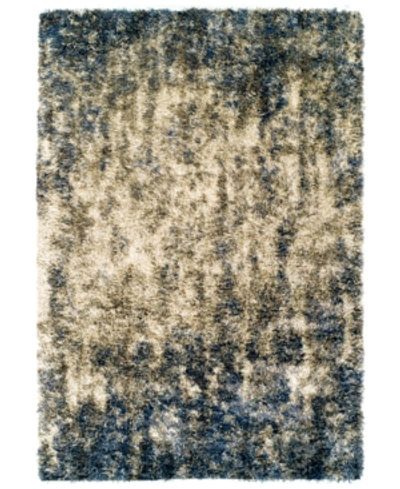 D Style Jackson Shag Drizzle 7'10" X 10'7" Area Rug In Blue