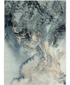 Long Street Looms Samuel Sam08 Gray 5'3" X 7'3" Area Rug In Gray