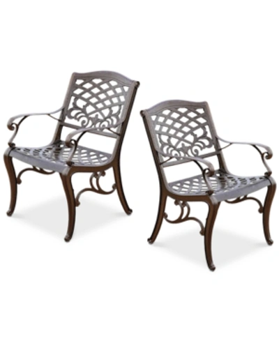 Noble House Kerine Set Of 2 Chairs In Bronze