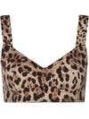 Dolce & Gabbana Leopard-print Bustier Top In Brown