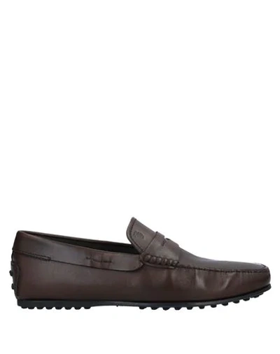 Tod's Loafers In Brown