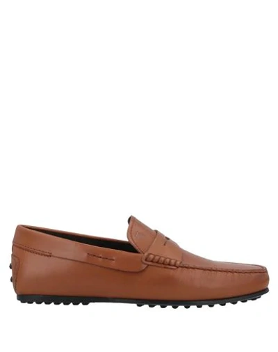 Tod's Loafers In Camel