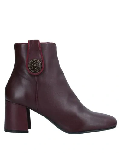 Bruno Premi Ankle Boot In Maroon