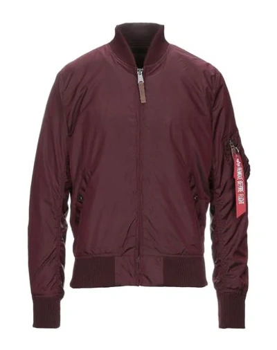 ALPHA INDUSTRIES JACKETS,41717557LV 5