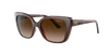Vogue Eyewear Vogue Vo5337s Dark Havana Sunglasses In Brown Gradient