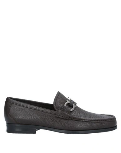 Ferragamo Loafers In Dark Brown