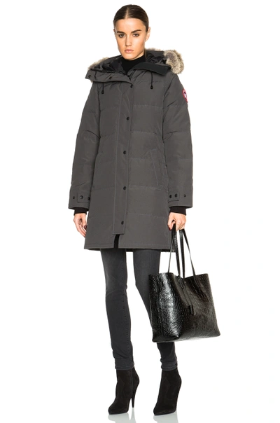 Canada Goose Shelburne Parka With Coyote Fur In Graphite