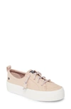 Sperry Crest Vibe Slip-on Platform Sneaker In Rose Dust Canvas