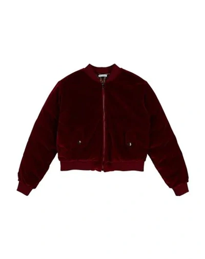 Dolce & Gabbana Bomber In Maroon