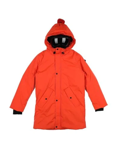 Ai Riders On The Storm Jacket In Orange
