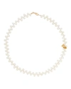 Alighieri 24k Gold-plated La Calliope Chapter Ii Pearl Necklace In White