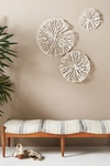 Anthropologie Sand Dollar Wall Hangings, Set Of 3 In White