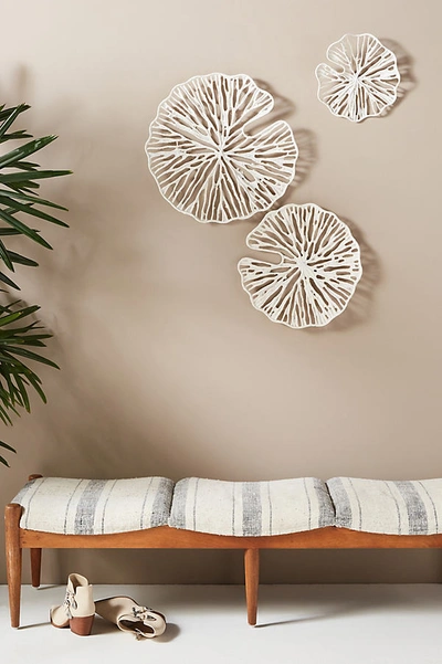 Anthropologie Sand Dollar Wall Hangings, Set Of 3 In White