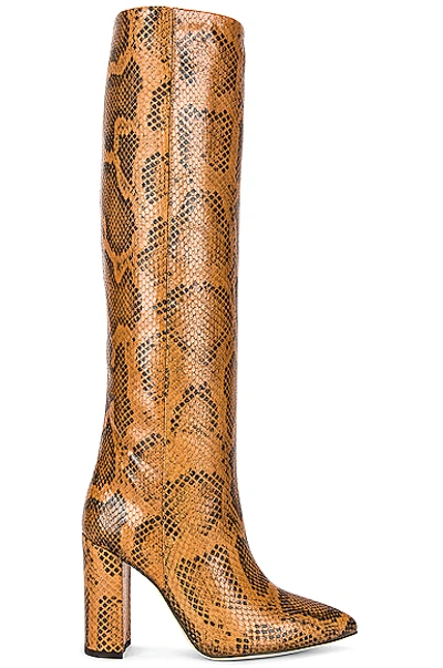 Paris Texas Snakeskin Print Boots In Brown,black