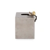Michael Aram Butterfly Ginkgo Tissue Box Cover In Silver