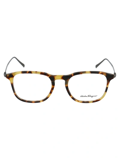 Ferragamo Sf2846 Glasses In 281 Vintage Tortoise