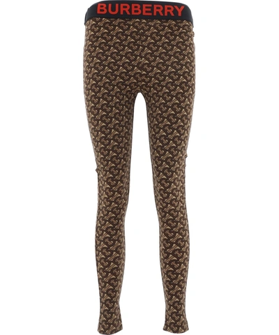 Burberry Brown Nylon Leggings