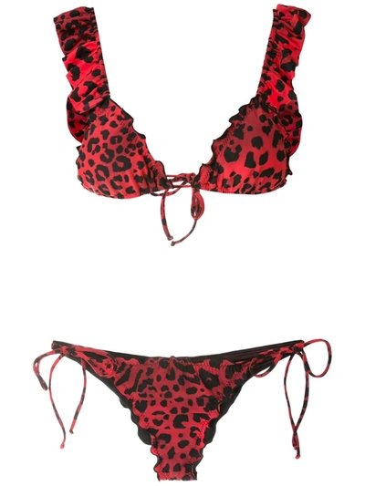 Brigitte Kate Pati Printed Bikini Set In Red