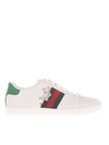 GUCCI KITTEN ACE trainers WOMAN IN WHITE