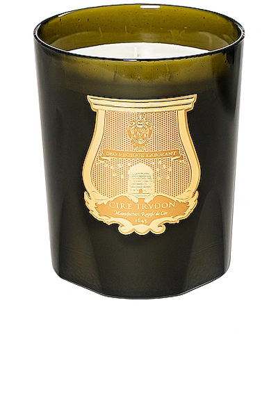 Cire Trudon Green And White Abd El Kader Great Candle In Gold