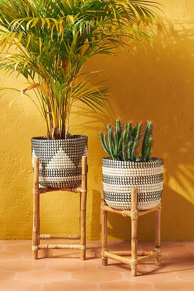 Anthropologie Woven Jahala Planter By  In Black Size M