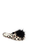 Ivory Leopard